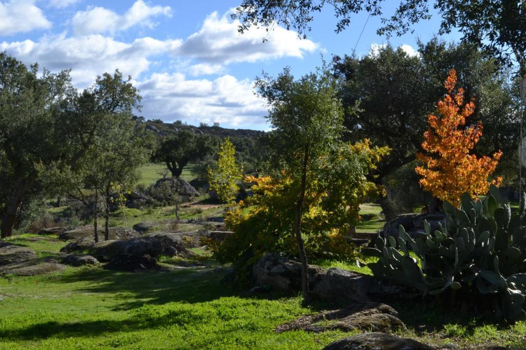 Finca El Cortinal Valencia de Alcántara Chambre photo